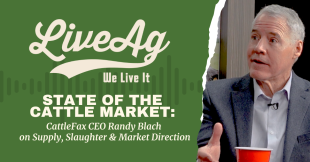 CattleFax CEO Randy Blach discusses supply, slaughter, and market trends in cattle industry.