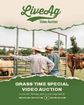 LiveAg April 23, 2026 Livestock Auction Catalog Cover