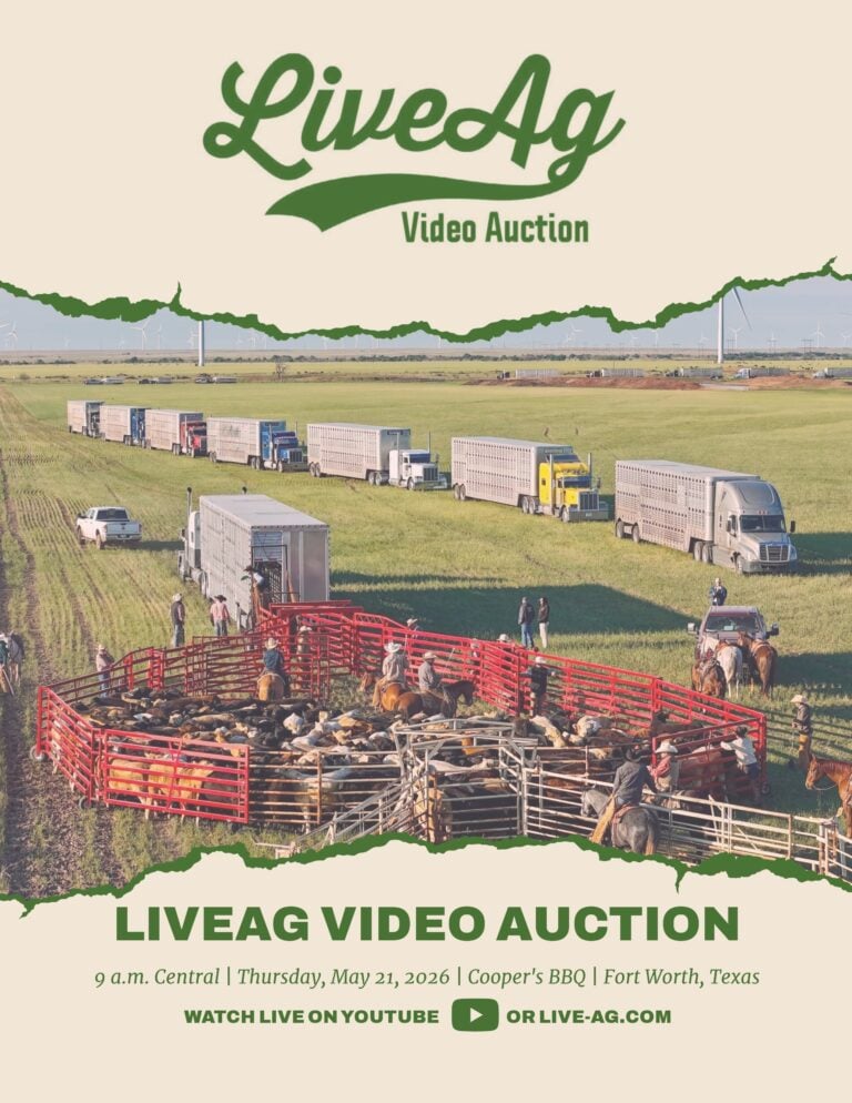LiveAg Video Livestock Auction May 21, 2026 Catalog Cover