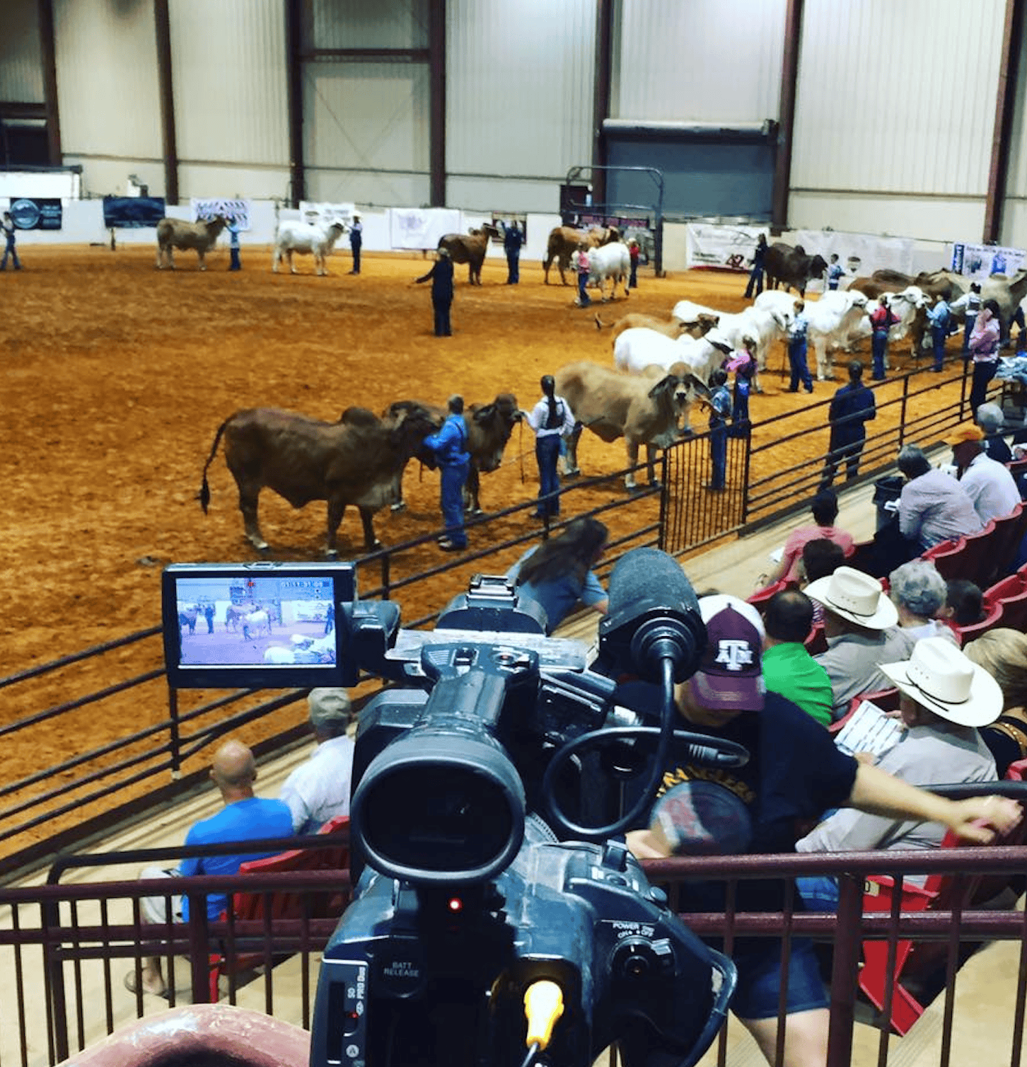 Shipshewana, IN LiveAg Video Auction Delivers Strong Results Amid Strong Summer Demand – June 26, 2025