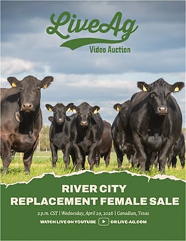 LiveAg River City Replacement Femail Sale Catalog Cover