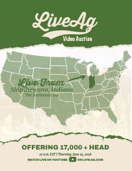 LiveAg Video Livestock Auction from Shipshewana Indiana Catalog Cover