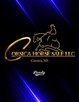 Corsica Horse Sale, LLC poster image