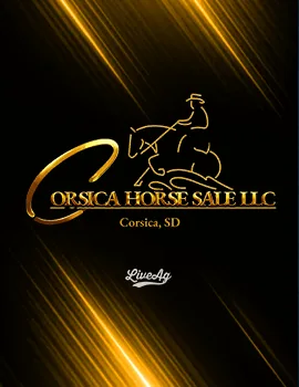 Corsica Horse Sale, LLC poster image