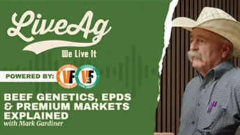 Beef Genetics with Mark Gardiner