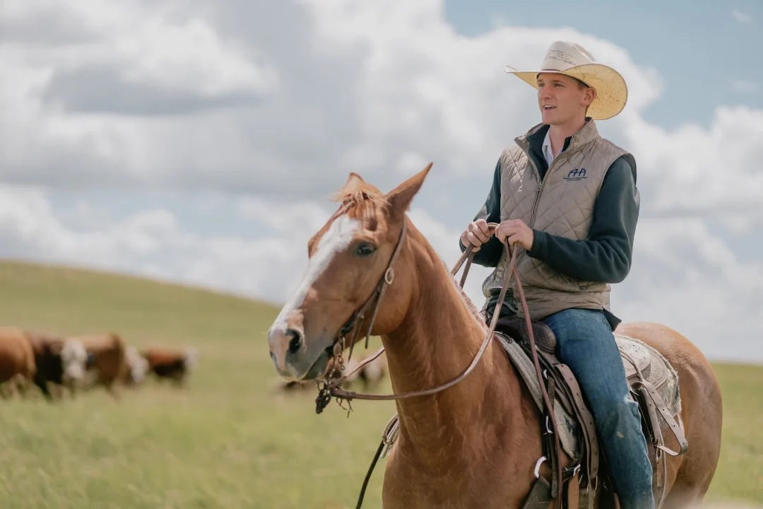 Logan Topp on horseback with the herd