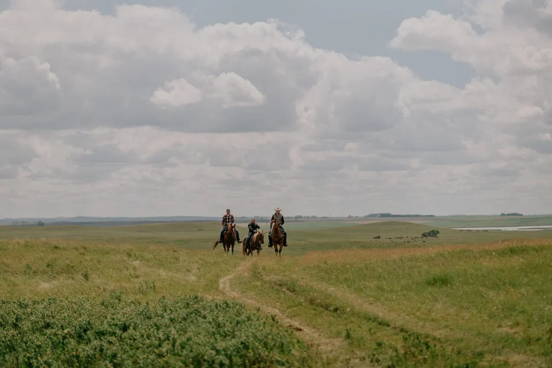 Three riders on horseback crossing open range