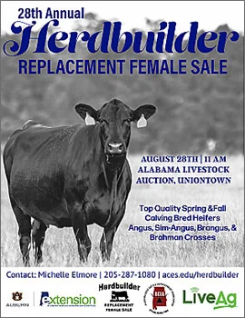 Herd Builder Replacement Female Sale Cover