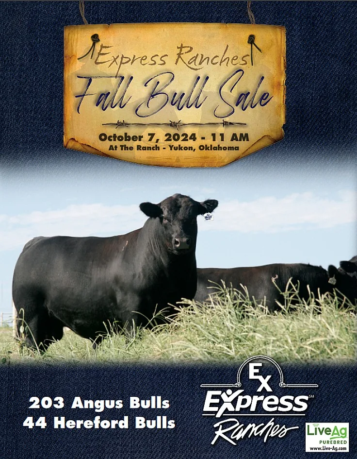 Express Ranches poster image