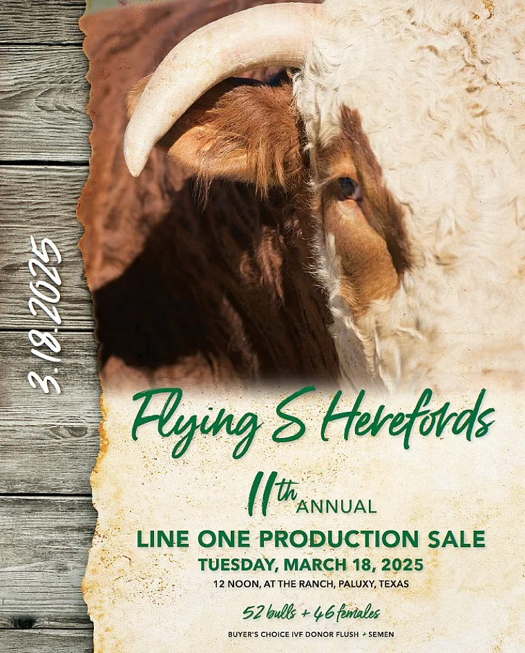 Flying S Herefords poster image