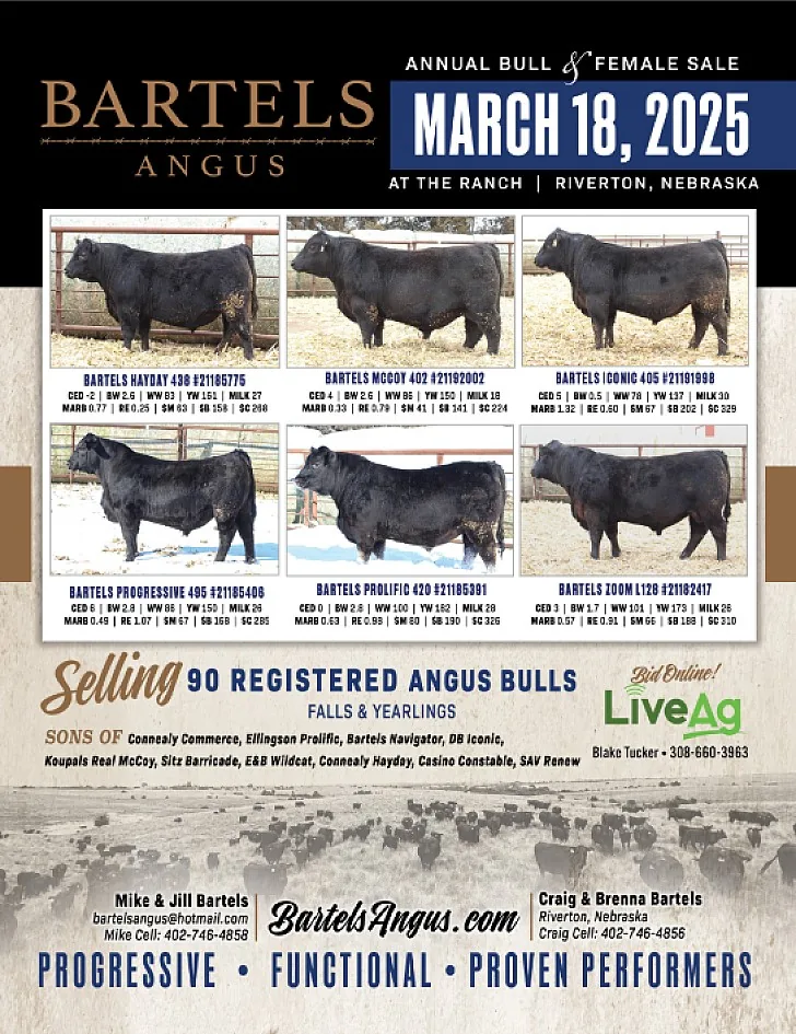 Bartels Angus poster image