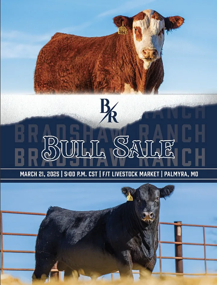 Bradshaw Ranch poster image