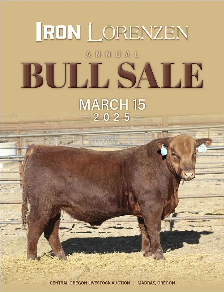 Iron Lorenzen poster image