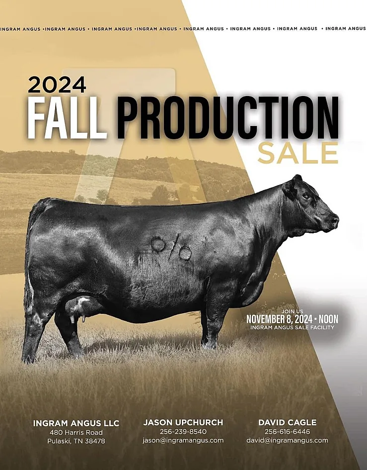 Ingram Angus poster image