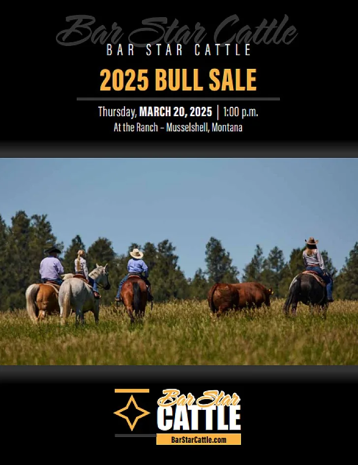 Bar Star Cattle poster image