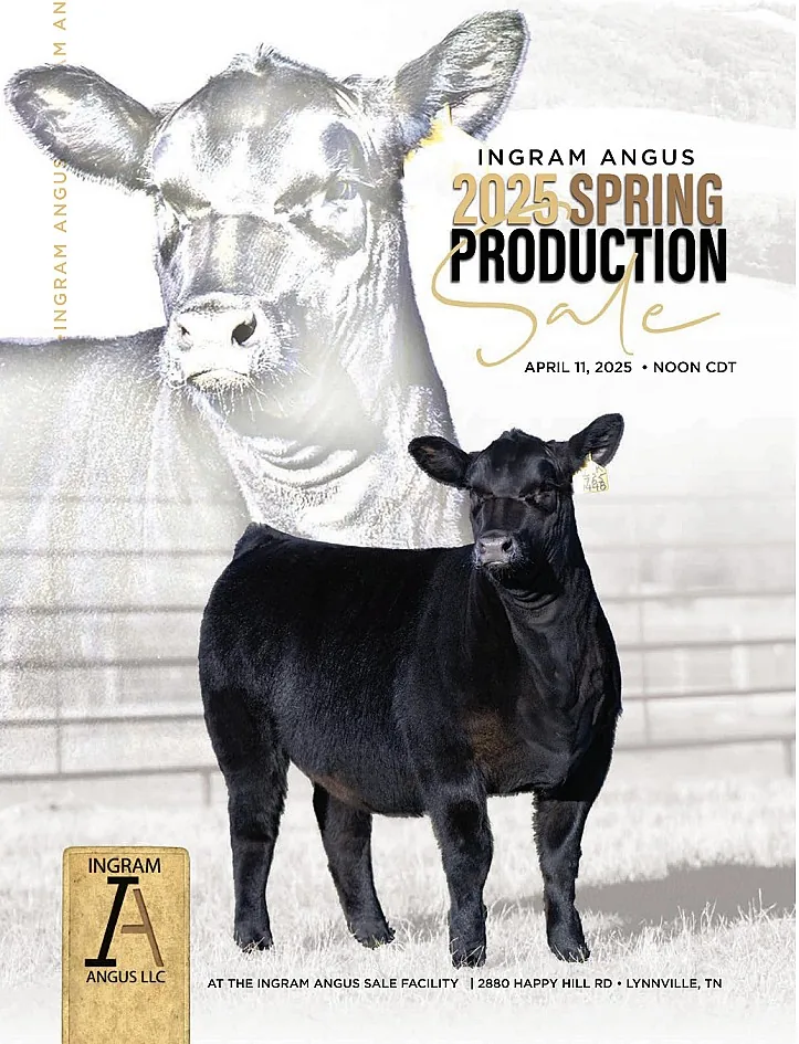 Ingram Angus poster image