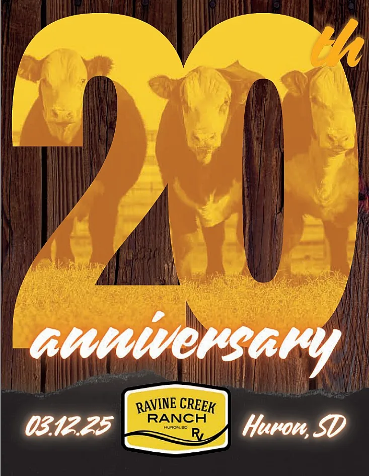 Ravine Creek Ranch poster image