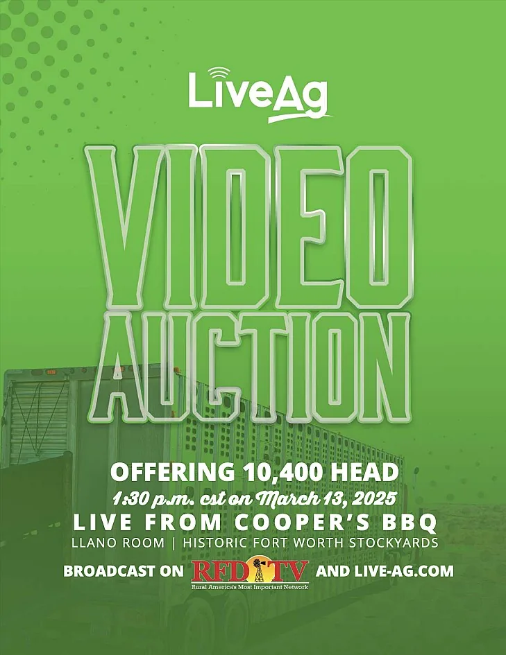 LiveAg Commercial Cattle poster image