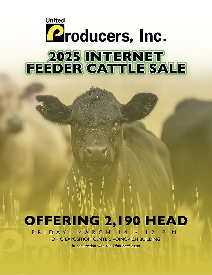 United Producers, Inc poster image