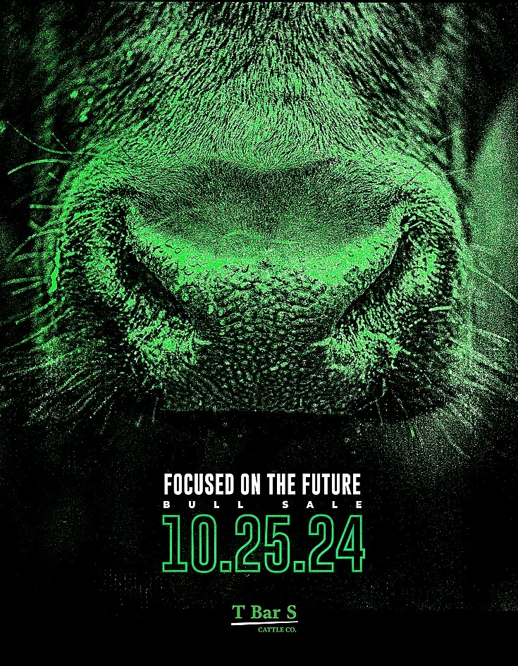 T Bar S poster image