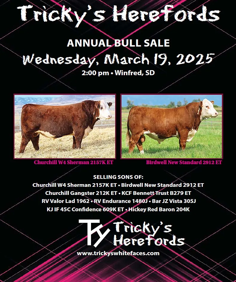Tricky’s Herefords poster image