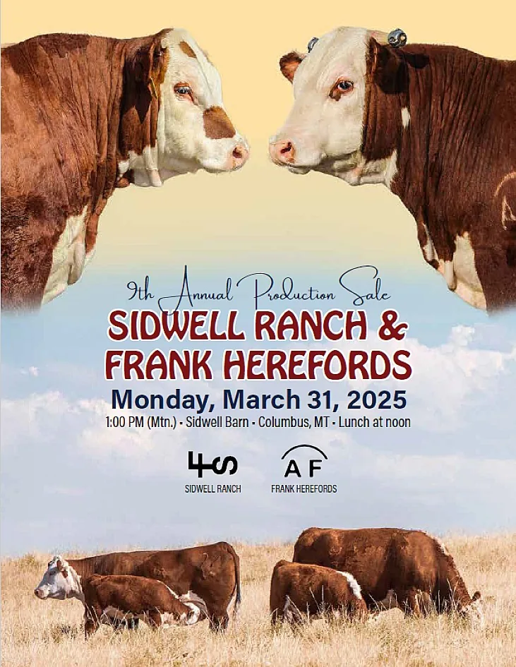 Sidwell Ranch & Frank Herefords poster image