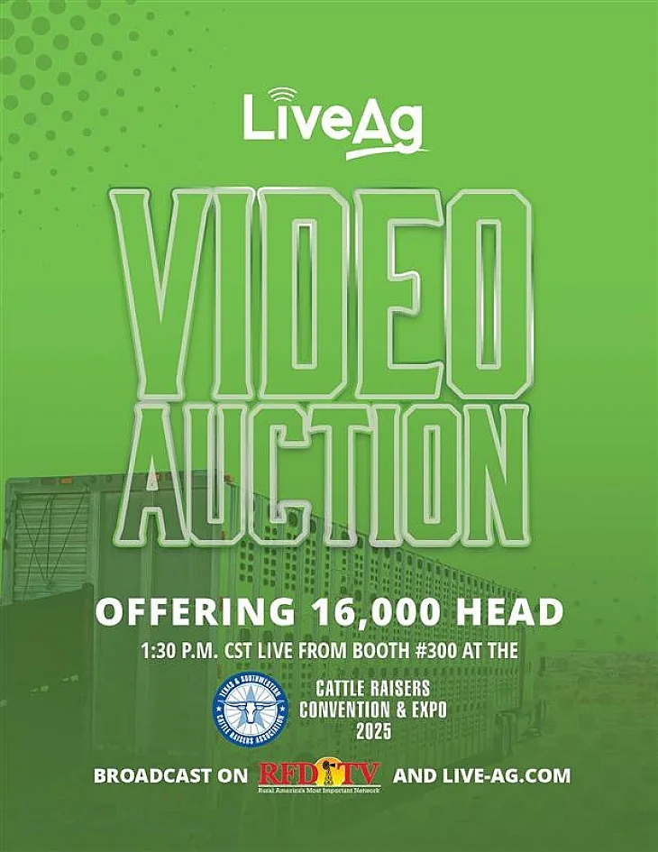 LiveAg Commercial Cattle poster image