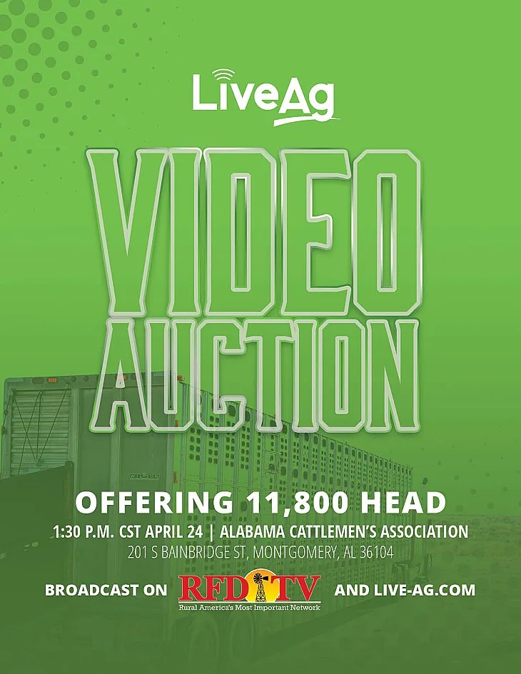 LiveAg Commercial Cattle poster image