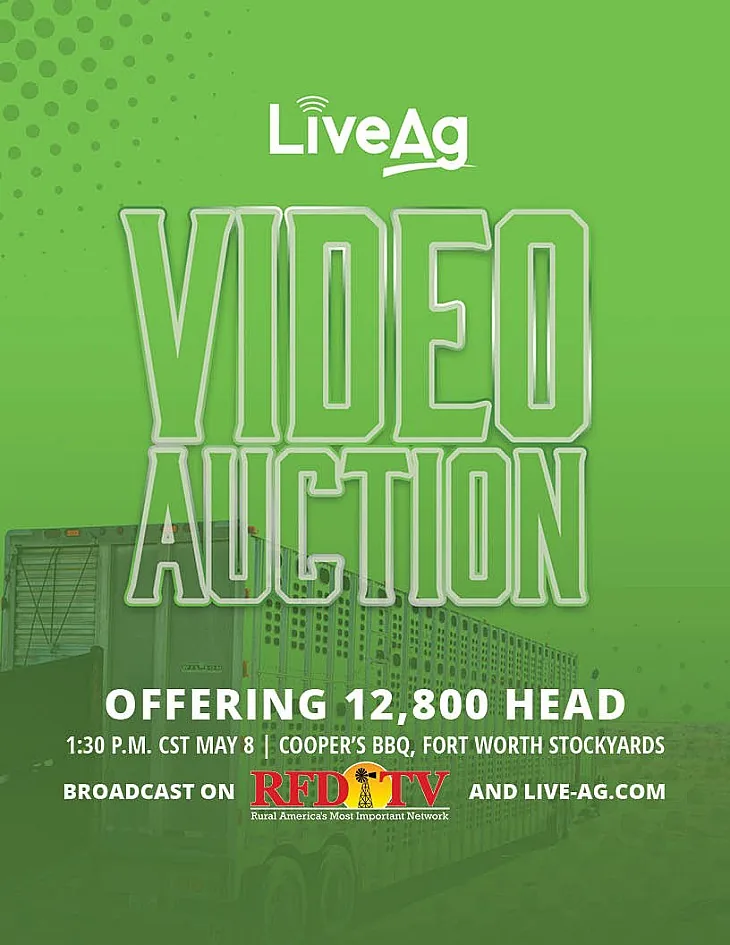 LiveAg Commercial Cattle poster image