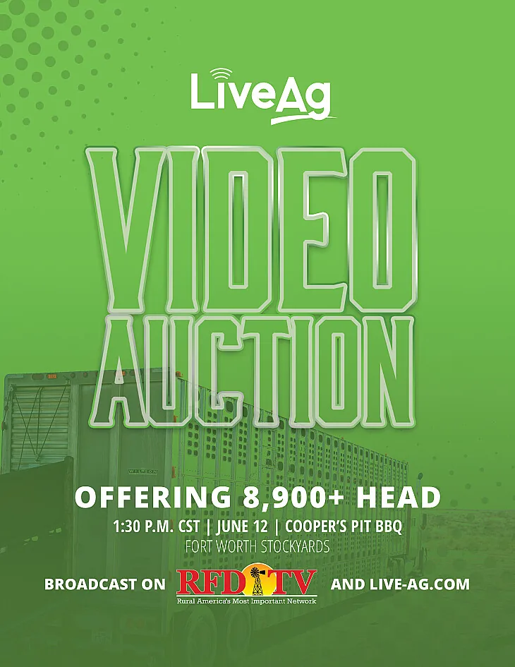 LiveAg Commercial Cattle poster image