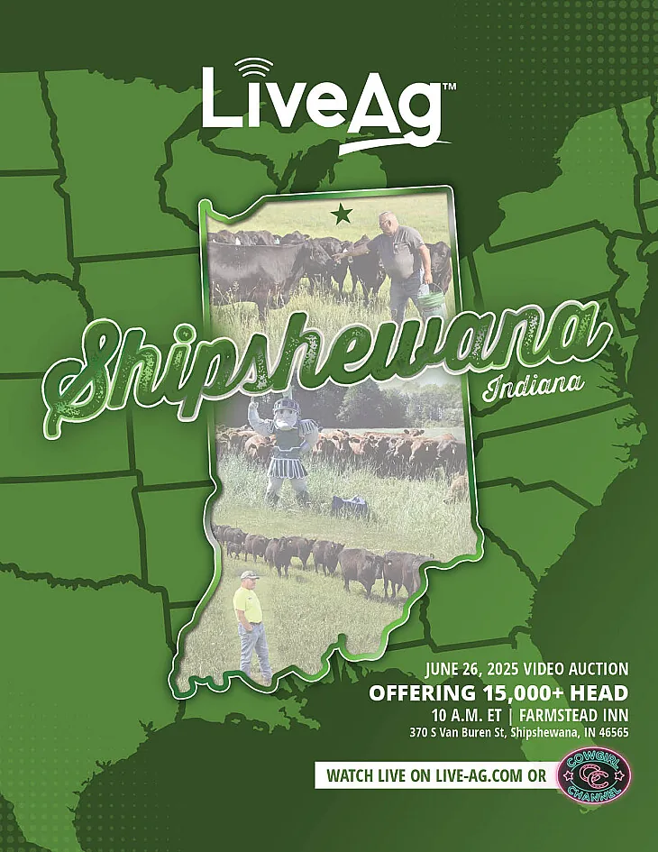 LiveAg Commercial Cattle poster image