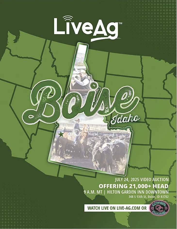 LiveAg Commercial Cattle poster image