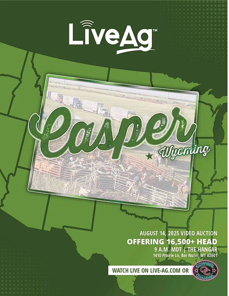 LiveAg Commercial Cattle poster image