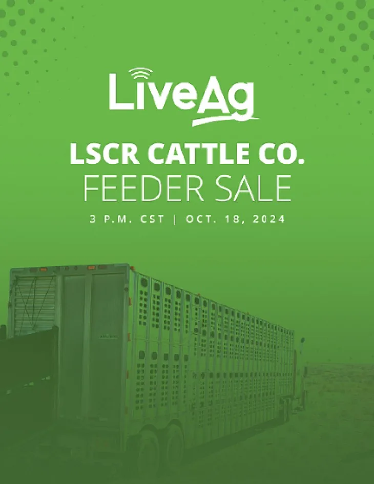 LSCR Cattle Co. poster image