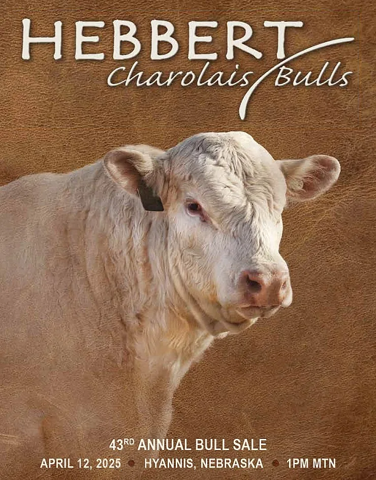 Hebbert Charolais poster image
