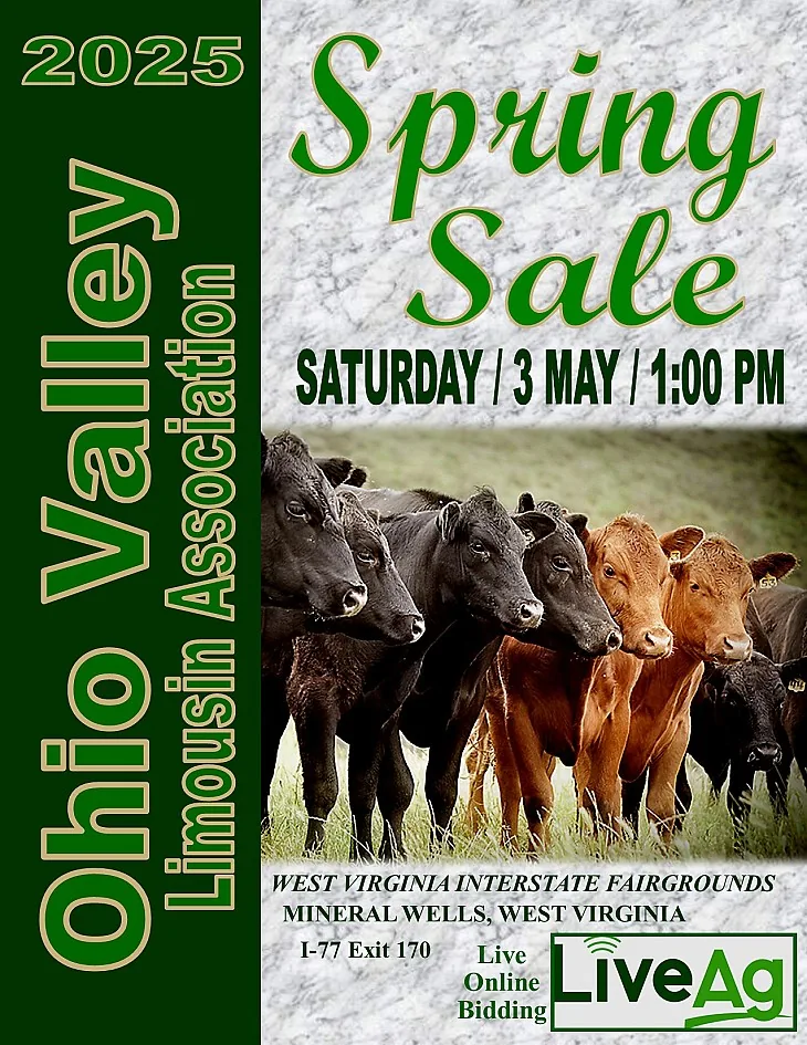 Ohio Valley Limousin poster image