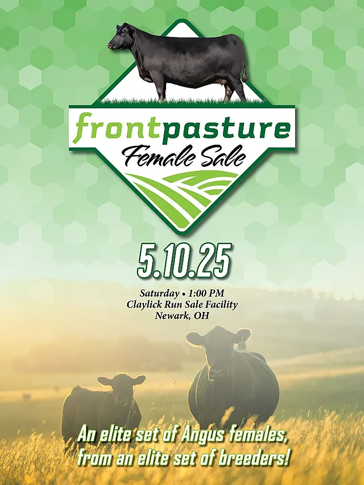 Front Pasture poster image
