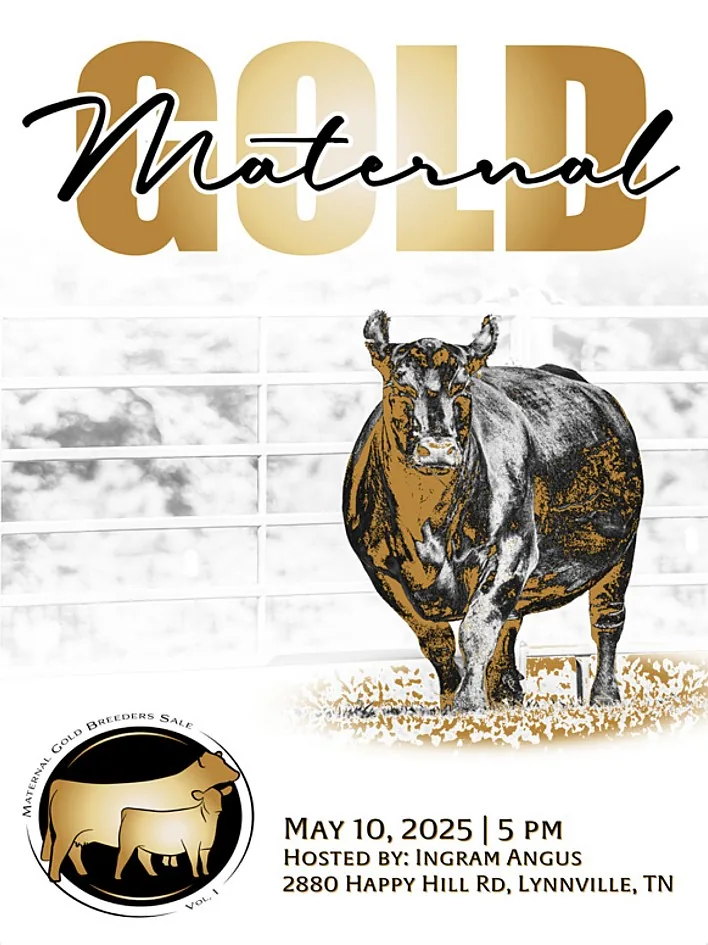 Maternal Gold poster image