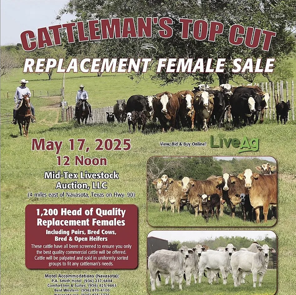 Cattlemen’s Top Cut poster image
