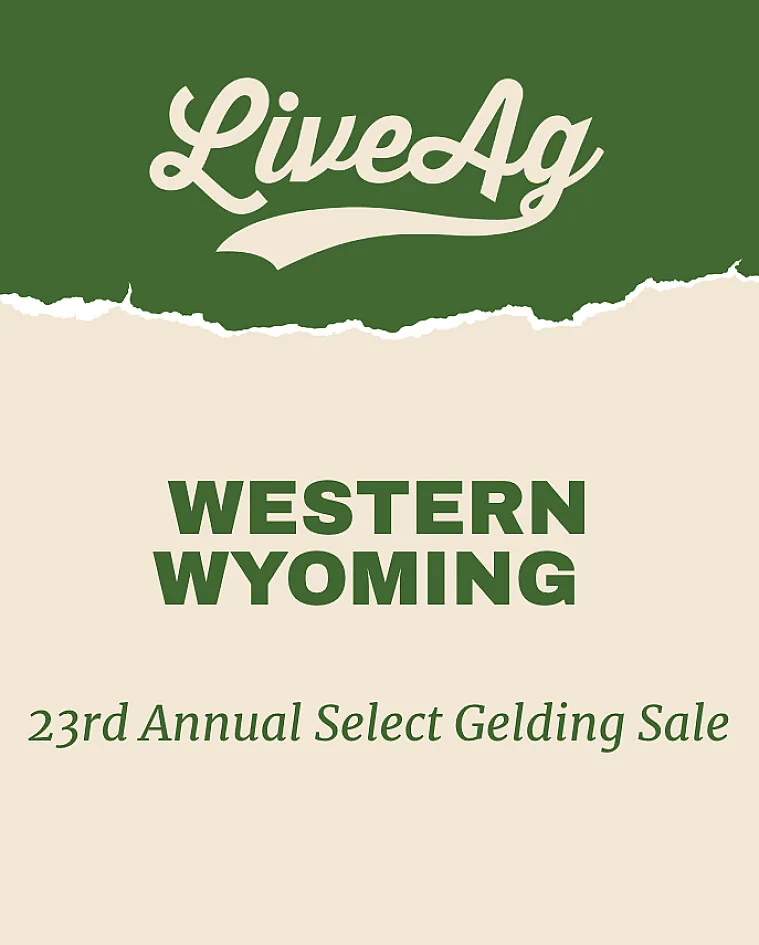 Western Wyoming poster image