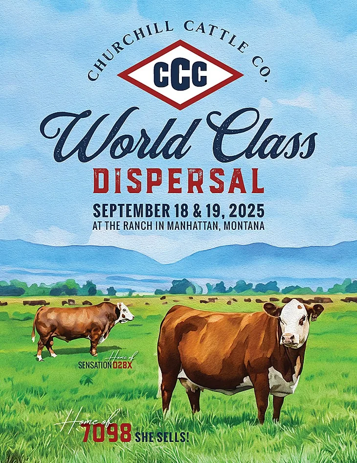 Churchill Cattle Company’s poster image