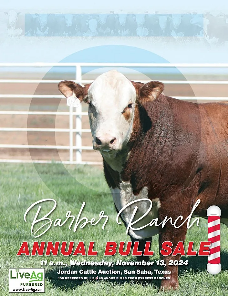 Barber Ranch poster image