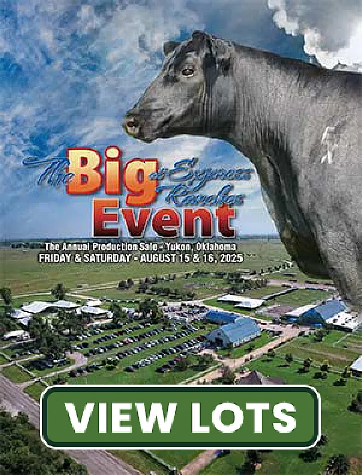Express Ranches poster image