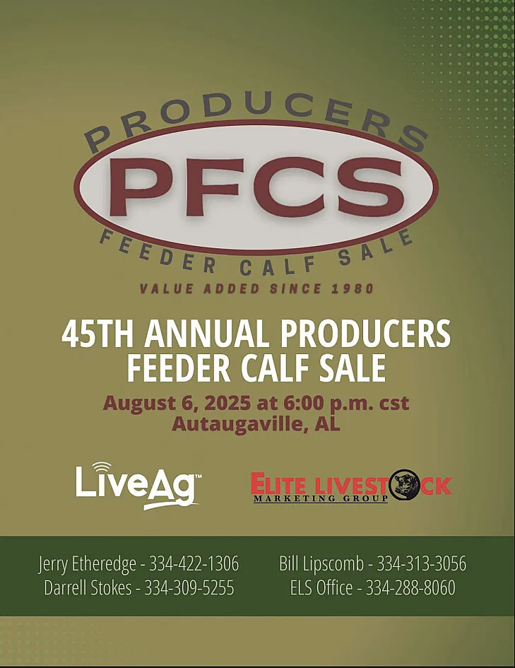 Producers Feeder Calf Sale poster image