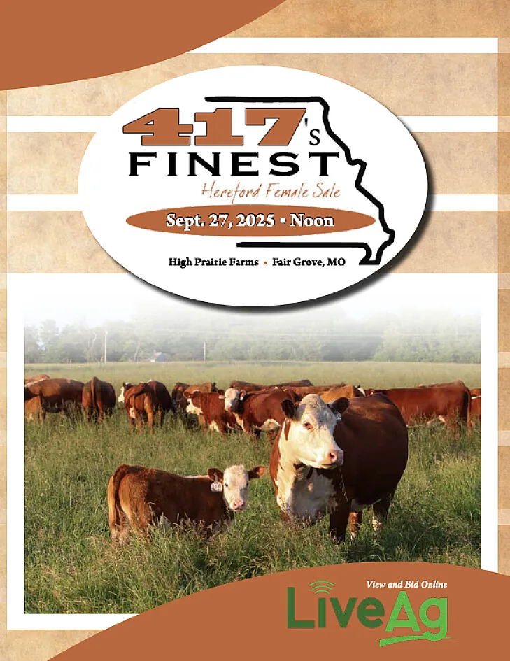 417’s Finest poster image