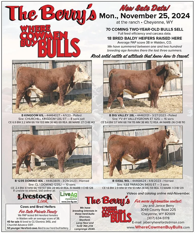Berry Herefords poster image