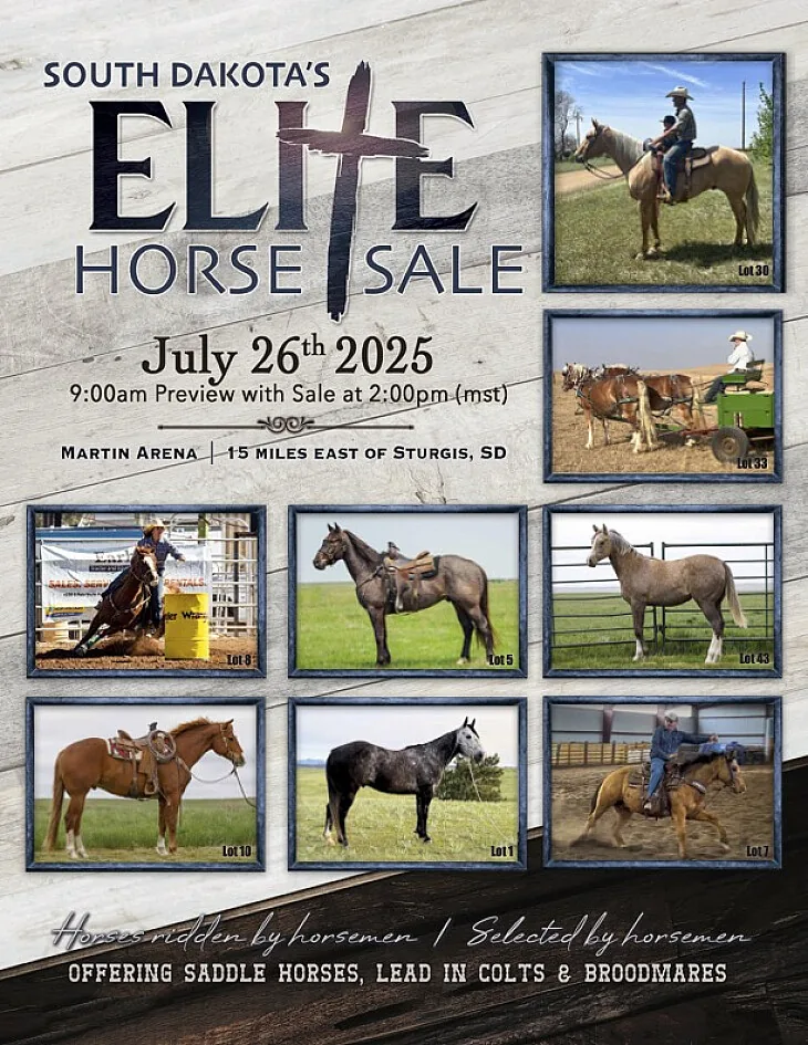 South Dakota’s Elite poster image