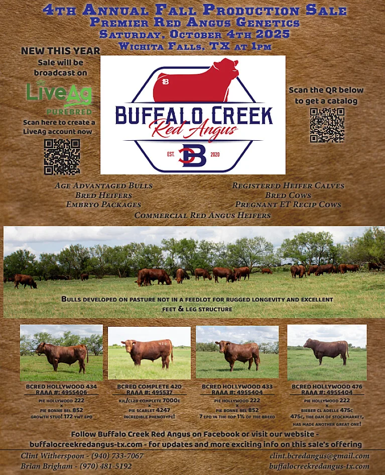 Buffalo Creek Red Angus poster image