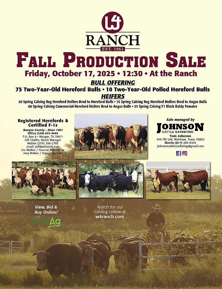 W4 Ranch poster image