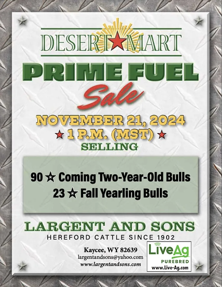 Largent and Sons poster image